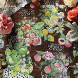 PET Sticker Pack