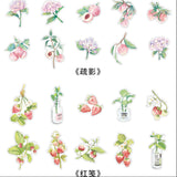 PET Sticker Pack