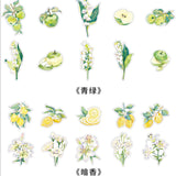 PET Sticker Pack