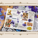 PET Sticker Book