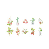 PET Sticker Pack