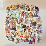 Sticker Bag + FREE Mini Storage Box